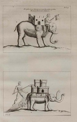 9799
<br/>
Danubius Pannonico-Mysicus.
<br/>
<em></em>